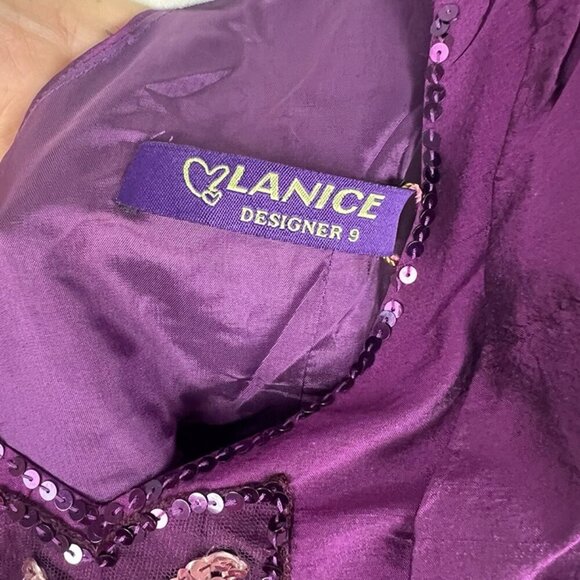 NWT Dupioni Silk Purple Dress Sz S Beaded Whimsygoth Victorian Glam Edwardian - Picture 5 of 10